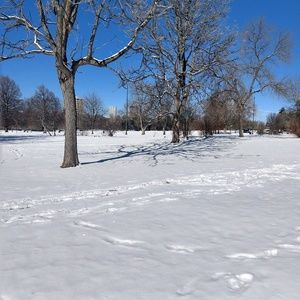 Meet your Posher, Aubrey